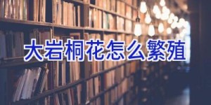 大岩桐花怎么繁殖