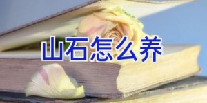 山石怎么养