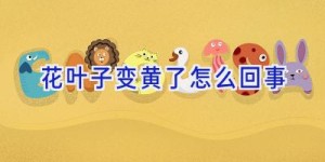 花叶子变黄了怎么回事