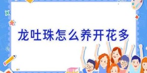 龙吐珠怎么养开花多