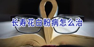 长寿花白粉病怎么治