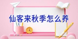 仙客来秋季怎么养