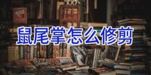 鼠尾掌怎么修剪