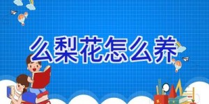 么梨花怎么养