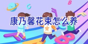 康乃馨花束怎么养