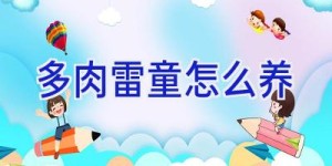 多肉雷童怎么养