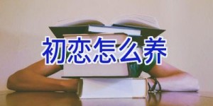 初恋怎么养