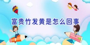 富贵竹发黄是怎么回事