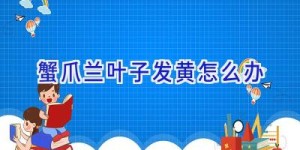 蟹爪兰叶子发黄怎么办