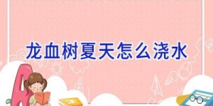 龙血树夏天怎么浇水
