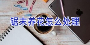 锯末养花怎么处理