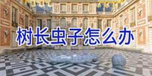 树长虫子怎么办