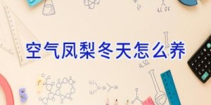 空气凤梨冬天怎么养