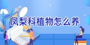 凤梨科植物怎么养