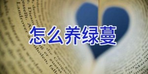 怎么养绿蔓