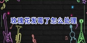 玫瑰花发霉了怎么处理