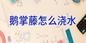 鹅掌藤怎么浇水