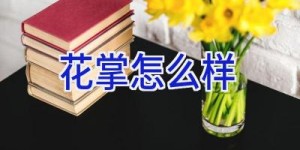花掌怎么样