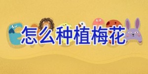 怎么种植梅花