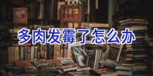 多肉发霉了怎么办