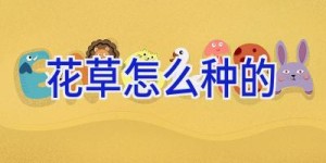 花草怎么种的