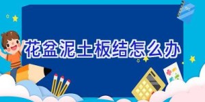 花盆泥土板结怎么办