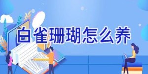 白雀珊瑚怎么养