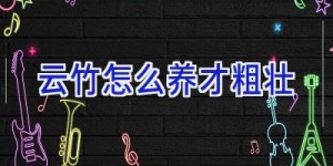 云竹怎么养才粗壮