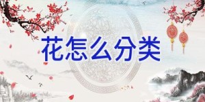 花怎么分类