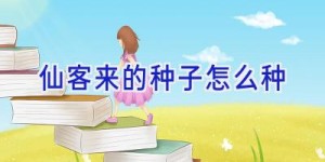 仙客来的种子怎么种