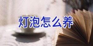 灯泡怎么养