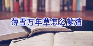 薄雪万年草怎么繁殖
