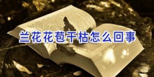 兰花花苞干枯怎么回事