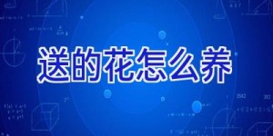 送的花怎么养