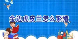 金边虎皮兰怎么繁殖