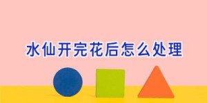 水仙开完花后怎么处理