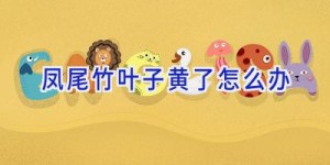 凤尾竹叶子黄了怎么办