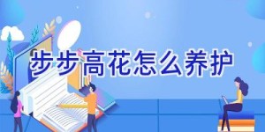 步步高花怎么养护