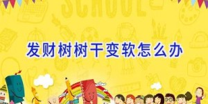 发财树树干变软怎么办