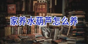 家养水葫芦怎么养