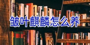 皱叶麒麟怎么养