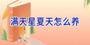满天星夏天怎么养