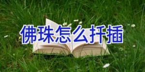佛珠怎么扦插