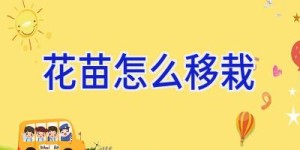 花苗怎么移栽
