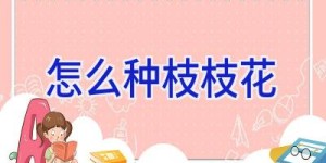 怎么种枝枝花