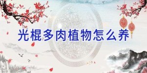 光棍多肉植物怎么养