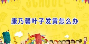 康乃馨叶子发黄怎么办