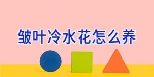 皱叶冷水花怎么养