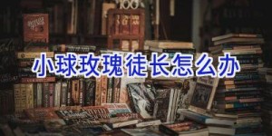 小球玫瑰徒长怎么办