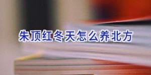 朱顶红冬天怎么养北方